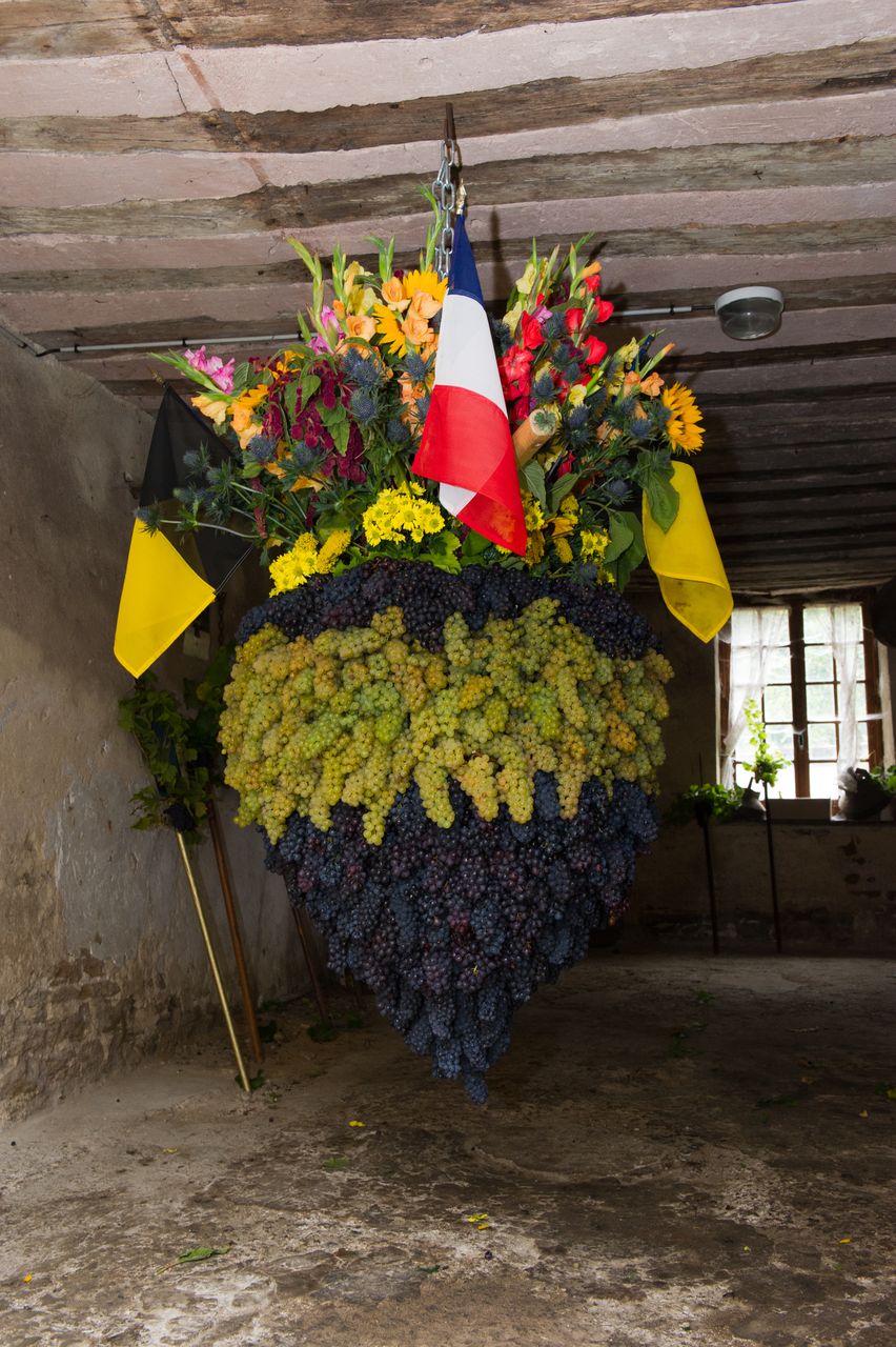 Evenements Biou Arbois 9780